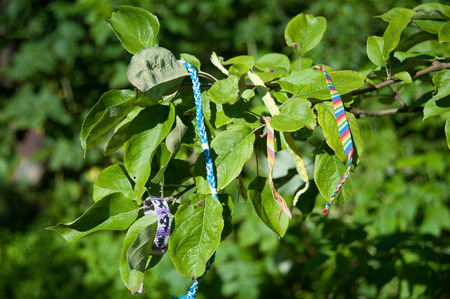 many colored bracelets from threads on a tree branch