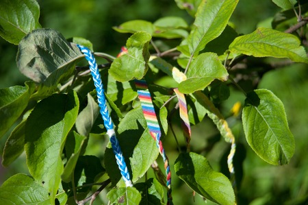 many colored bracelets from threads on a tree branchの写真素材
