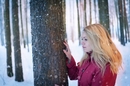 girl with long brown hair in a winter forestの写真素材