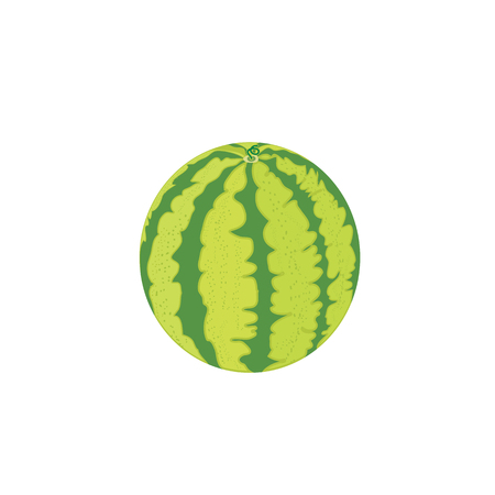 Watermelon on white background. For icons, textiles and creative design.のイラスト素材