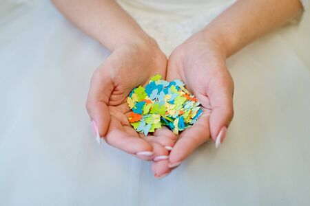 paper butterfly in hands of the bride