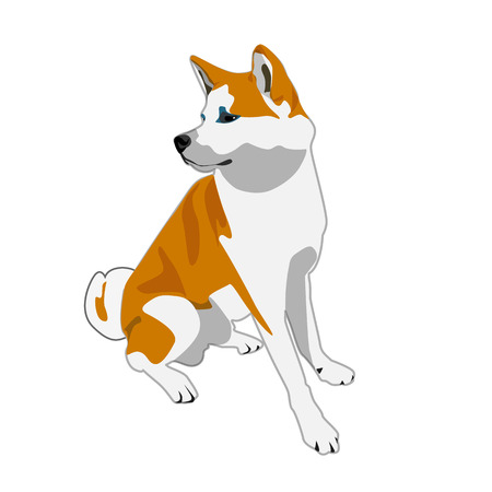 Dogs vector characters different breads doggy illustration. Furry human friends home animalsのイラスト素材