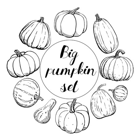 Doodle pumpkins.Vector paint hand drawn picture in cartoon style. Stock illustration.のイラスト素材