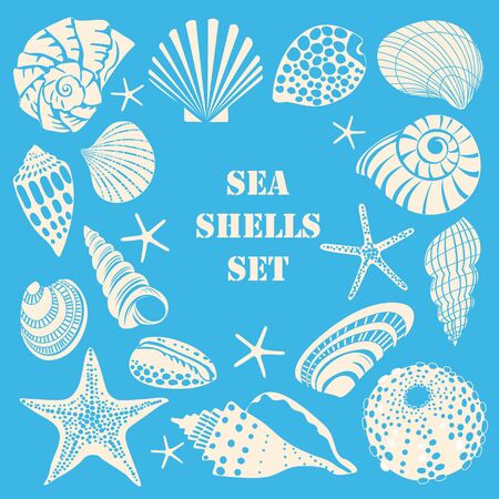 Set of different black sea shells and starfish. White outline on blue backgroundのイラスト素材