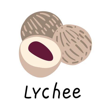 Fresh fruits set Vector Illustration. Colorful image lycheeのイラスト素材