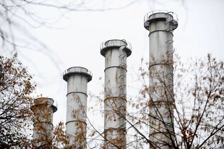 Four power plant chimneys are seen through the treesの写真素材
