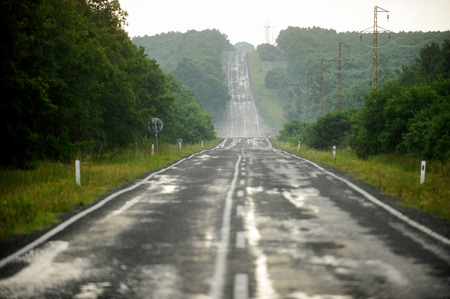 Long empty road through the forest after the rainの写真素材