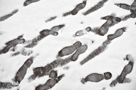 Different type of footsteps in the snowの写真素材
