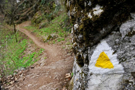 Yellow triangle hiking trail sign on a rock with a hiking path in the backgroundの写真素材