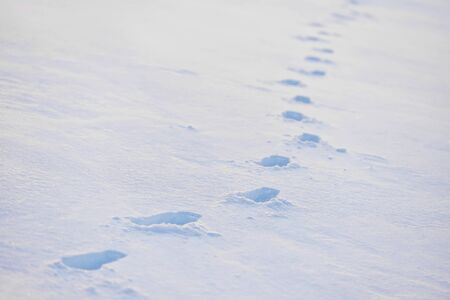 Winter scene with fresh footprints in deep powder snow