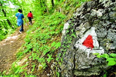 Hiking red triangle paint marking on a rock with hiker on the trailの写真素材