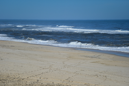 Sunny day scene at the beach on the shoreline of Atlantic Oceanの写真素材