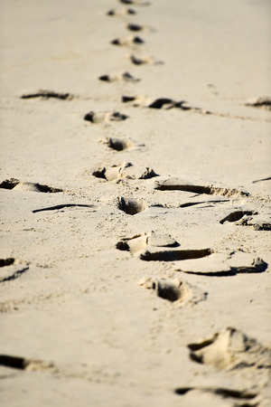 Detail shot with man footprints in the sand on a beachの写真素材