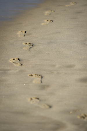 Detail shot with man footprints in the sand on a beachの写真素材
