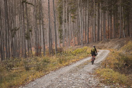 Autumn mountain scene riding with a mountain bike equipped with travel bagsの写真素材