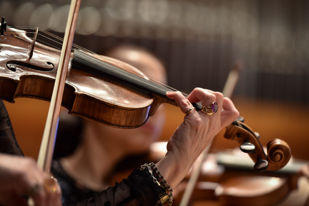 Violin players hand detail during philharmonic orchestra performanceの写真素材