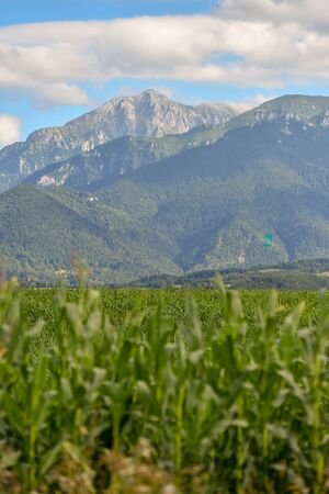 Beautiful landscape of Bucegi mountains seen from Bran county in Transylvania in summer seasonの写真素材