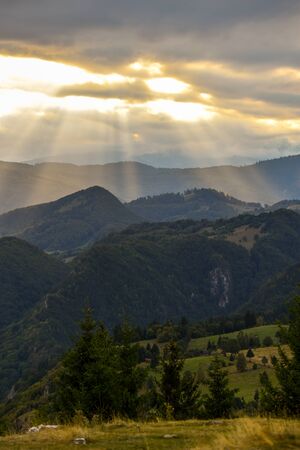 Hills, forests and meadows in Transylvania Bran county at sunset on a beautiful summer dayの写真素材