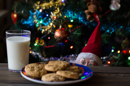 Father Christmas toy watching the cookies and the glass of milk.の写真素材