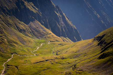 Beautiful green valley with a river in Carpathian Mountains, Romaniaの写真素材