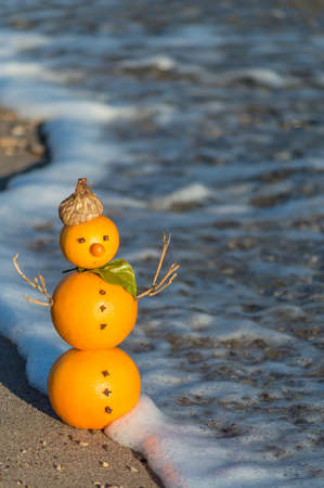 Snowman made of oranges near the seaの写真素材