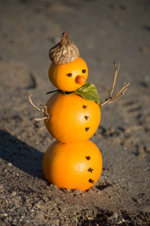 Snowman made of oranges near the seaの写真素材