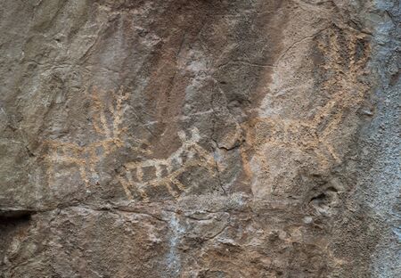 Prehistoric drawings at Lipci Rock, Montenegroの写真素材