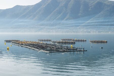 Big Cages for fish farming in Montenegroの写真素材