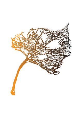 Autumn Gold Leaf 2のイラスト素材