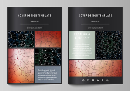 Business templates for brochure, magazine, flyer, booklet or annual report. Cover design template, easy editable vector, abstract flat layout in A4 size. Chemistry pattern, molecular texture, polygonal molecule structure, cell. Medicine, science, microbiology concept.のイラスト素材