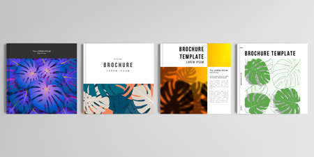 Realistic vector layouts of cover mockup design templates for square brochure, cover design, flyer, book, poster. Tropical palm leaves, shadow of tropical jungle leaves. Floral pattern backgrounds.の写真素材