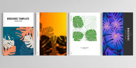Realistic vector layouts of cover mockup design templates for A4 brochure, cover design, flyer, book, poster. Tropical palm leaves, shadow of tropical jungle leaves. Floral pattern backgrounds.の写真素材