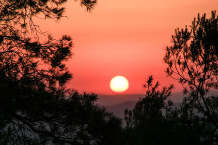 Sunset with spring colors and the silhouette of  trees and branchesの写真素材