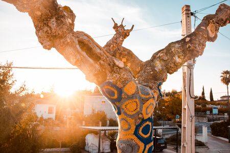 Artistically decorated tree with coloured wool, tree with storm yarn. Street Art. With the background sunのeditorial素材