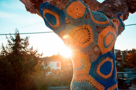Artistically decorated tree with coloured wool, tree with storm yarn. Street Art. With the...