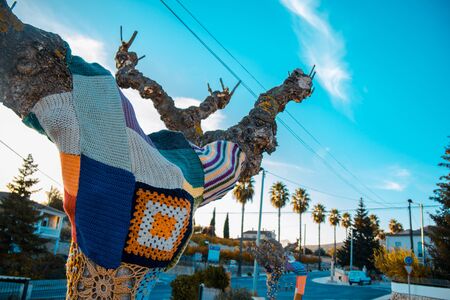 Tree with storm yarn. Sewn with coloured wool, street and creative artの写真素材