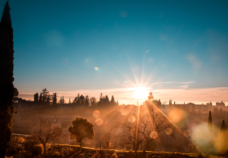 Sunset over a city and a park with green treesの写真素材