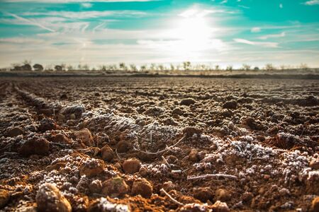 Sunset on a field. Landscape of a fieldの写真素材