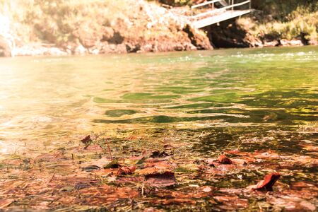 Picture of a river with floating leaves, spring photo