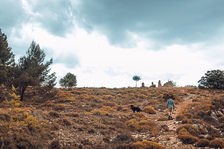 Man with his dog in the mountains. Guy with his dogの写真素材