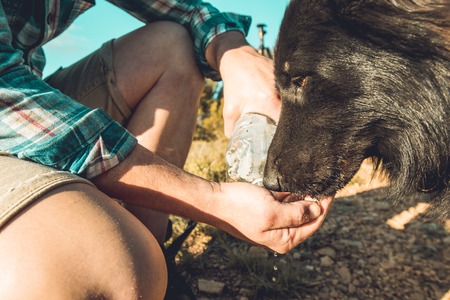 Man drinking water for his dog .Guy giving his dog waterの写真素材
