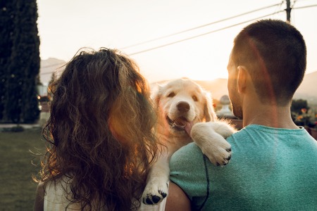 Couple with their puppy dog at sunset. Concept of love between dogs and peopleの写真素材