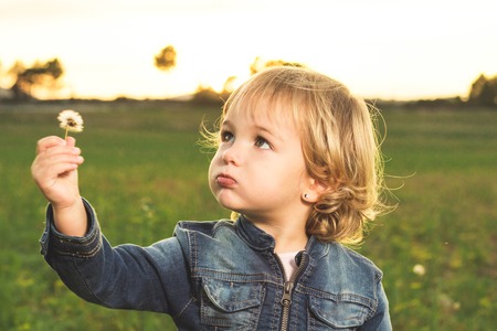 Little girl in the field with a flower in her hand