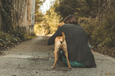 Happy woman stroking her dog. Concept of friendship between dog and personの写真素材