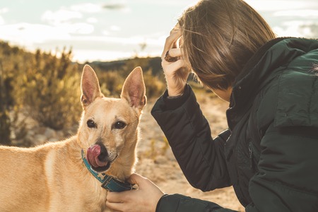 Portrait of a dog and a young woman in the country. Concept friendship dog and personの写真素材