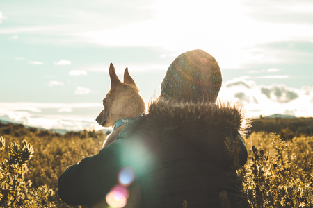 A young woman hugging and kissing her dog at sunset. Concept of love between dog and womanの写真素材