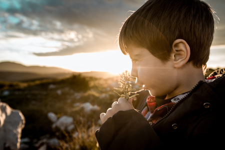 Close-up boy smelling a flower in the field. Concept children enjoying nature