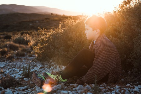 Portrait of a little blond boy sitting in the field. Adorable child in a sunsetの写真素材