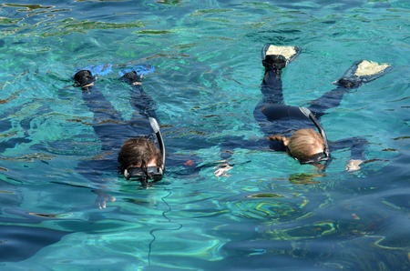 Shark Bay in Sea World Gold Coast Queensland Australia	Visitors dive in Shark Bay touch pool at Sea...