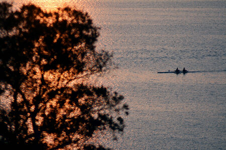 Silhouette of unrecognizable rowes on row boats sculling over lake Rotorua new zealand at dusk.の写真素材